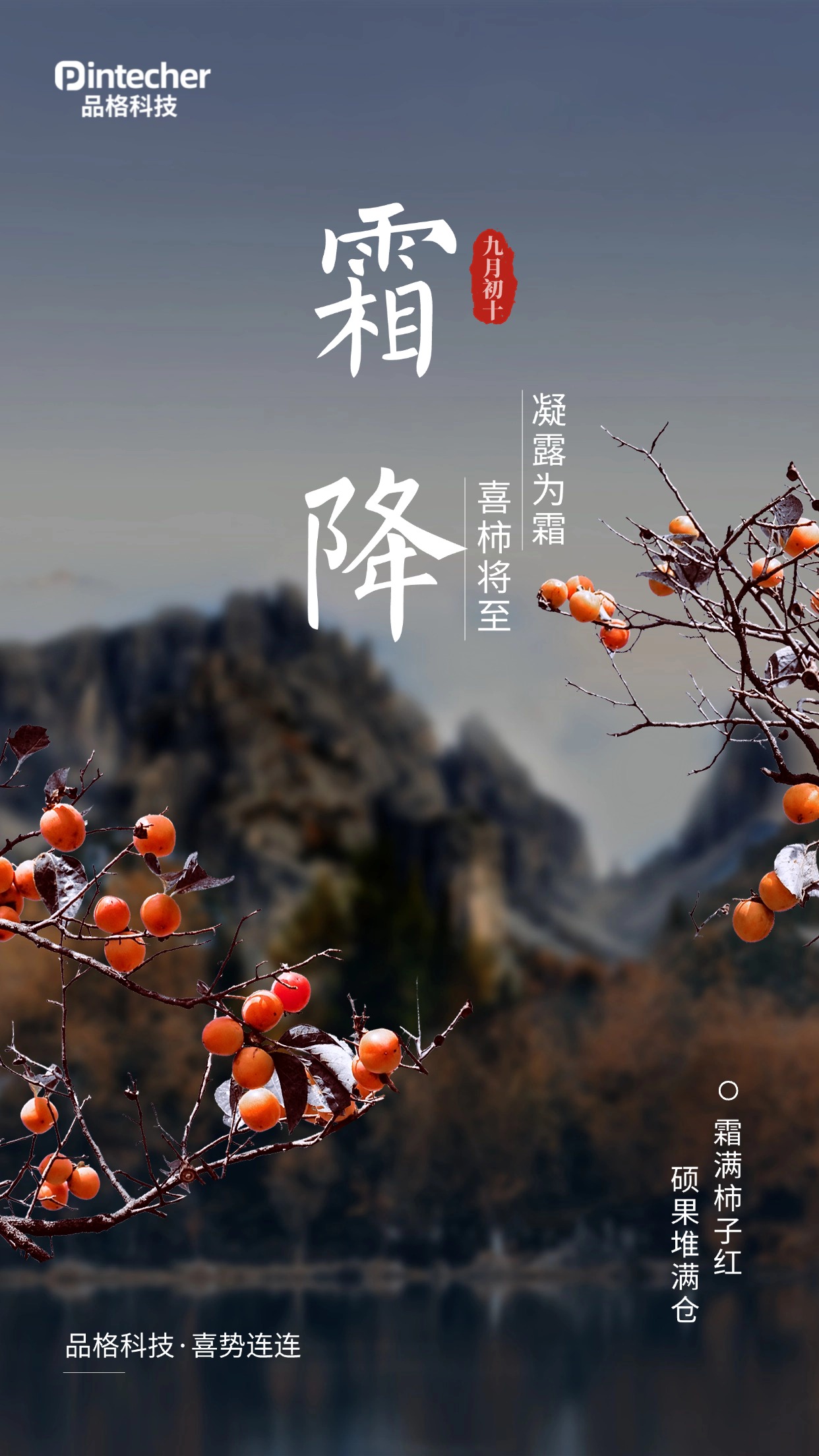 霜降海报.jpg